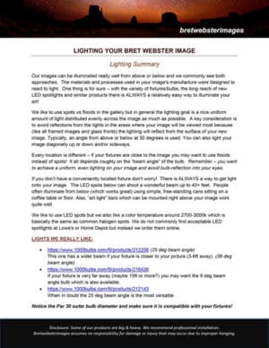 3---Lighting-your-Bret-Webster-Image-1