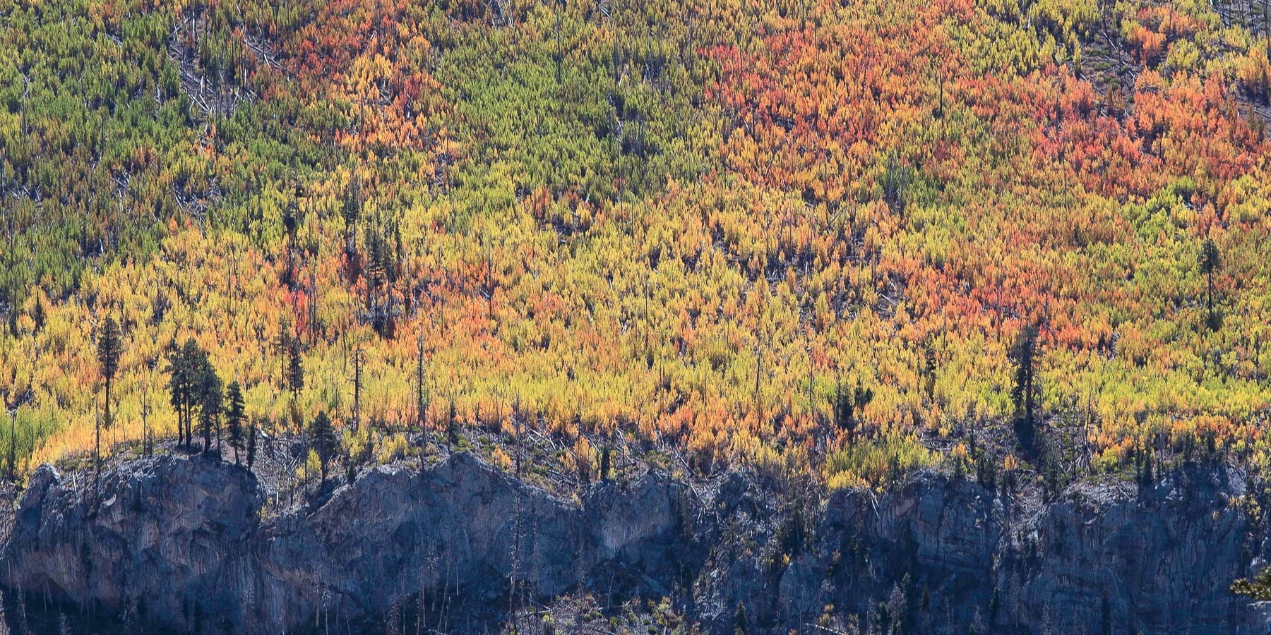 Great Basin Color 2.0