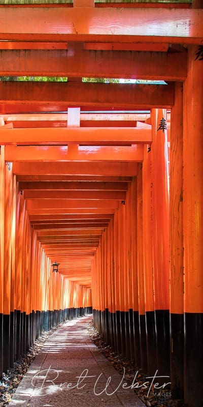 Kyoto Gates Vertical