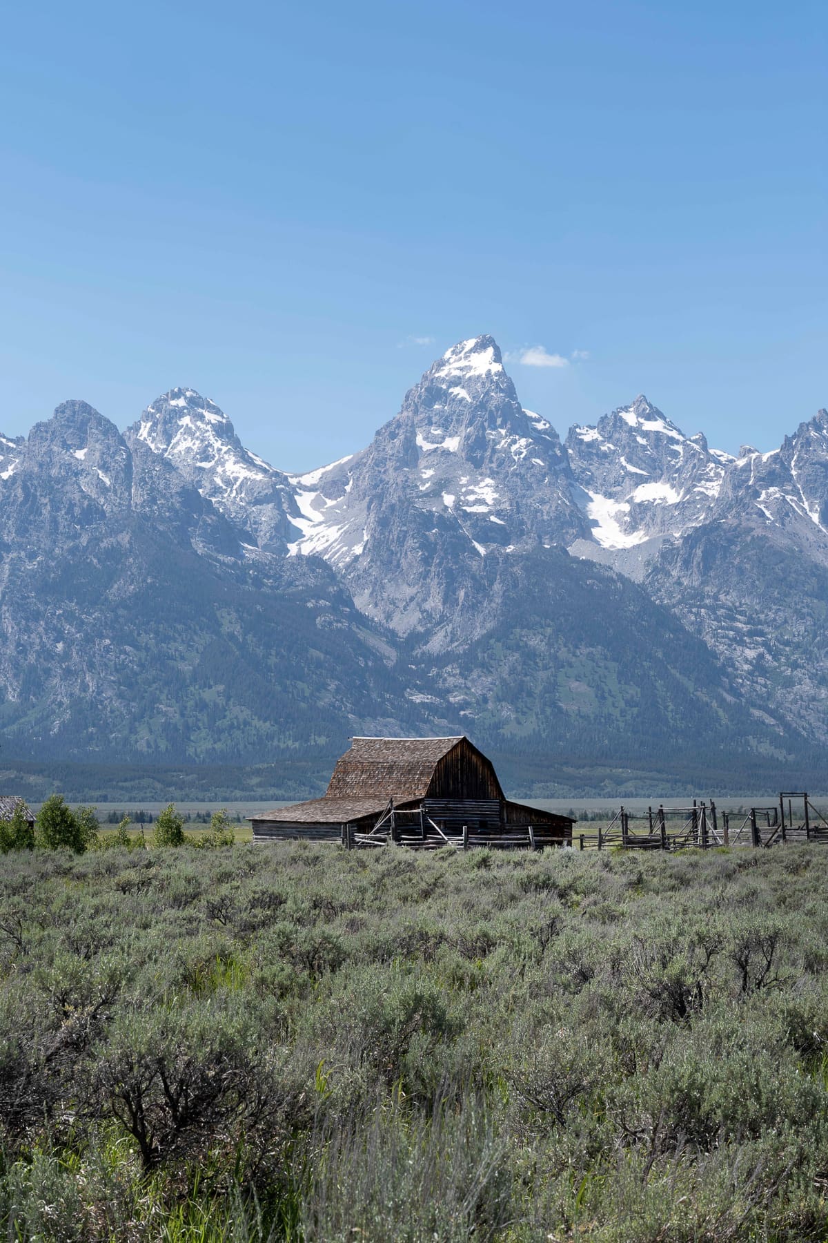 Teton Barn Summer Vert 1.5