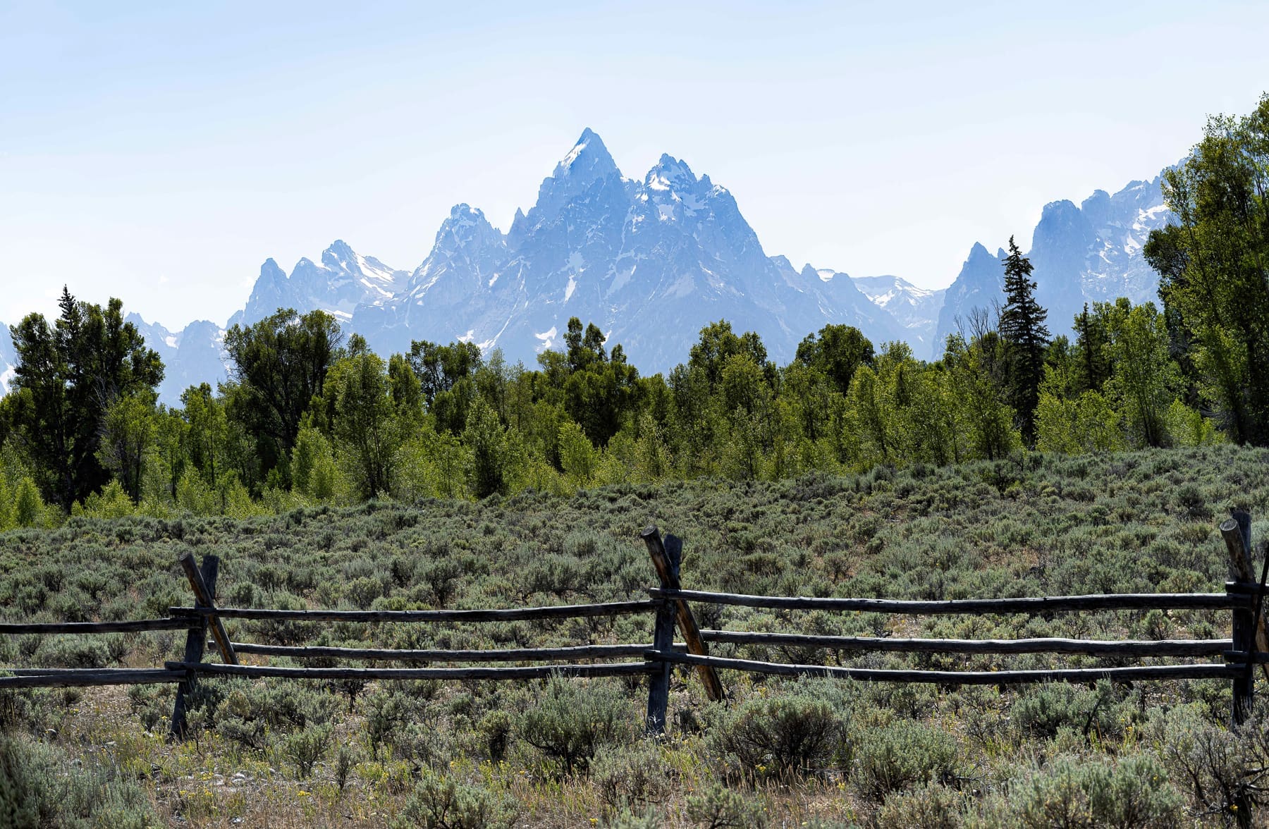 Teton Fence
