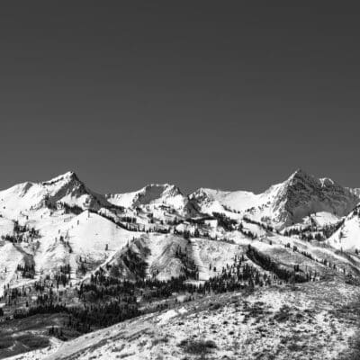 Snow Basin Blue Bird Day B&W