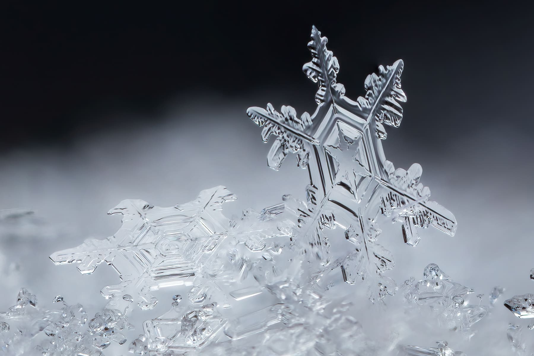 Snow Gems Horizontal 1.5