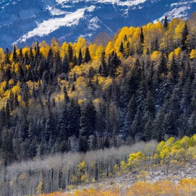 Timpanogos Fall 1.5